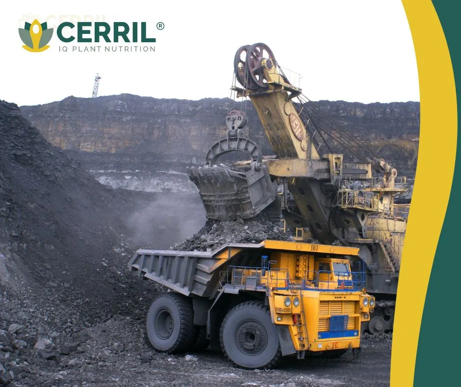 Biominerales Cerril