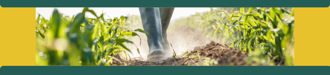 Beneficios de la Biodiversidad del Suelo