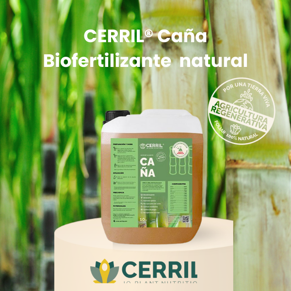 CERRIL Caña