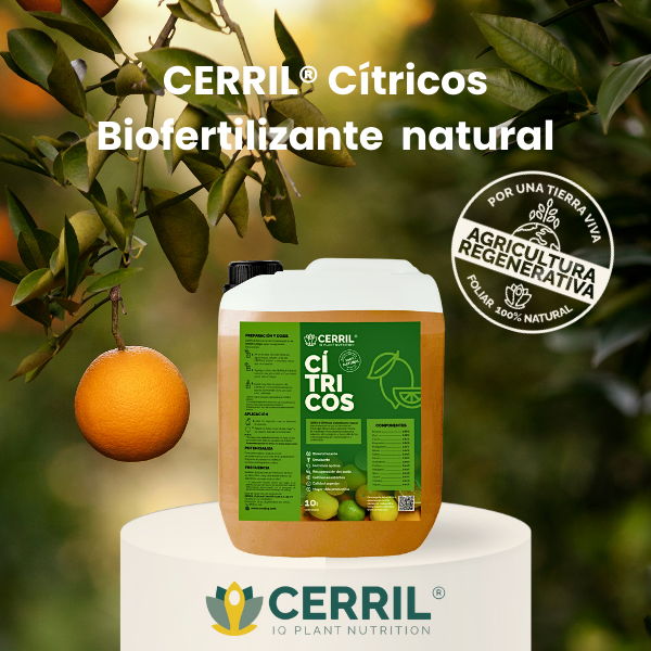 CERRIL Cítricos