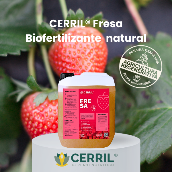 CERRIL Fresa