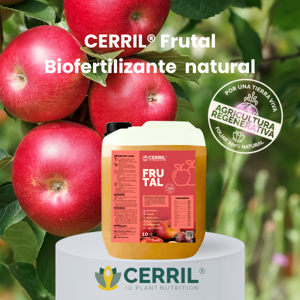 CERRIL Frutal