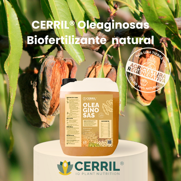 CERRIL Oleaginosas