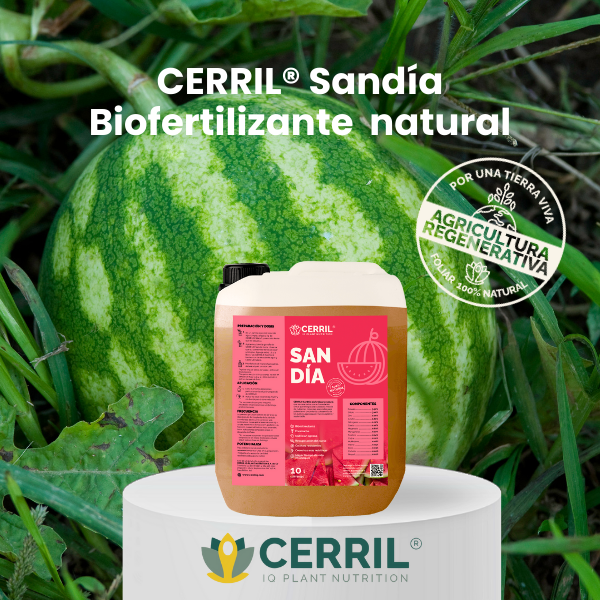 CERRIL Sandía