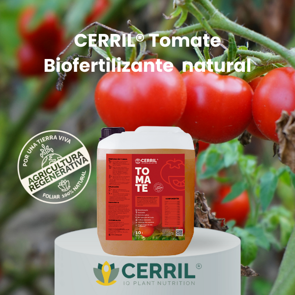 CERRIL Tomate