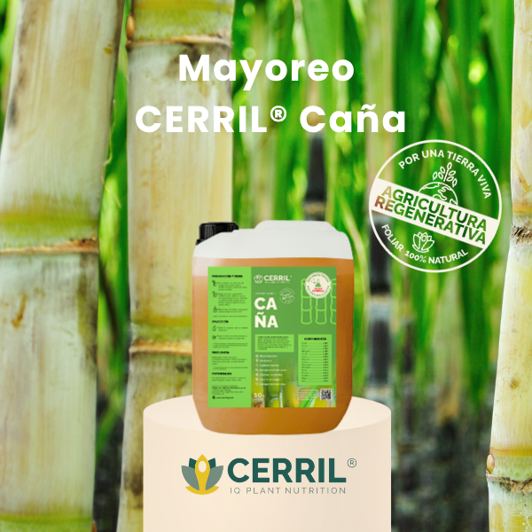 Mayoreo CERRIL Caña