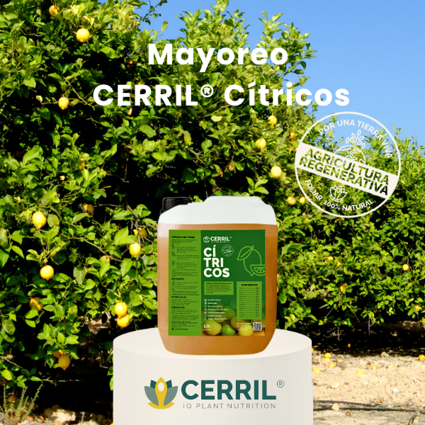 Mayoreo CERRIL Cítricos