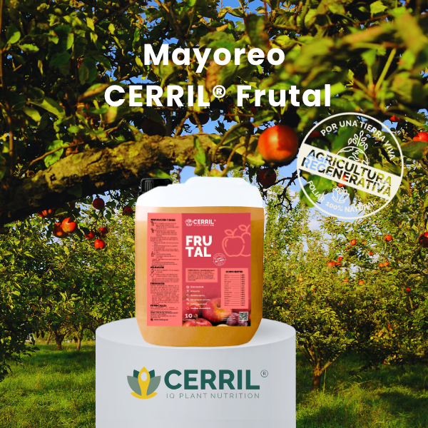 Mayoreo CERRIL Frutal