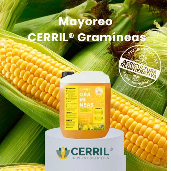Mayoreo CERRIL Gramíneas