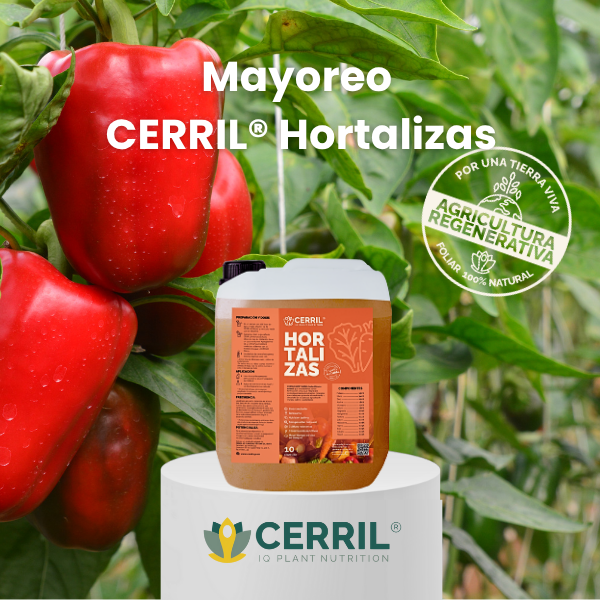 Mayoreo CERRIL Hortalizas