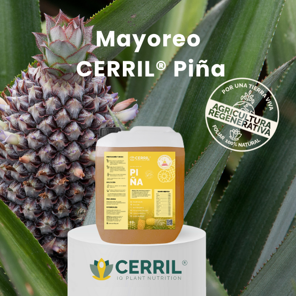 Mayoreo CERRIL Piña